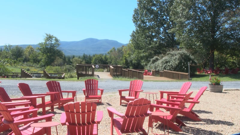 Valley Road Vineyard