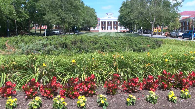 University of Virginia Darden School of Business