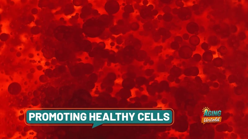 The human body is made up of trillions of cells that perform functions from skin protection to...