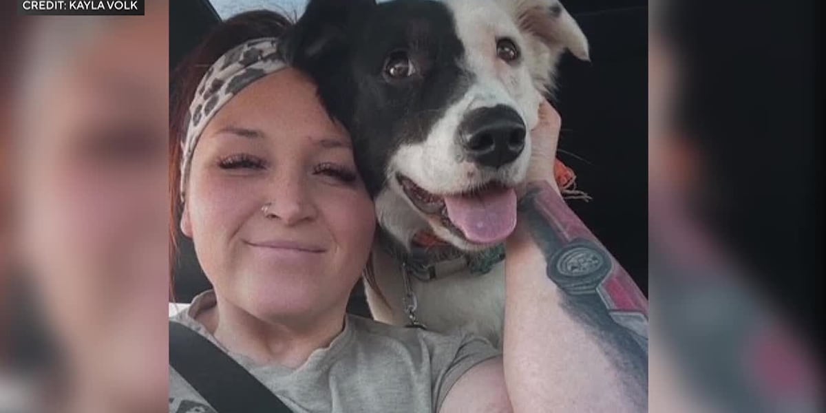 9 dogs found dead at boarding business; owner faces animal torture charges