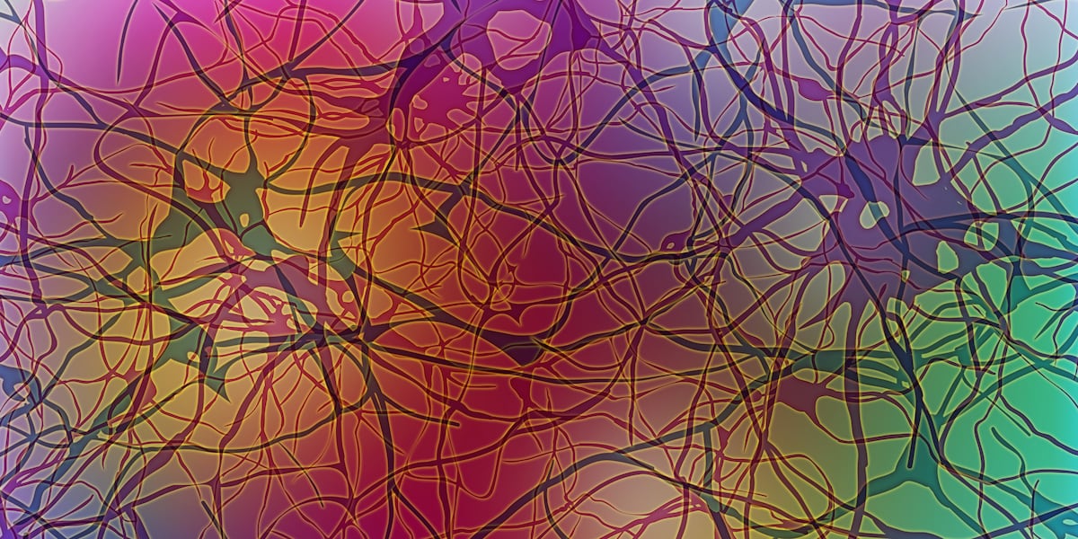Virginia organization to hold picnic to raise awareness of rare neuropathy Virginia organization to hold picnic to raise awareness of rare neuropathy