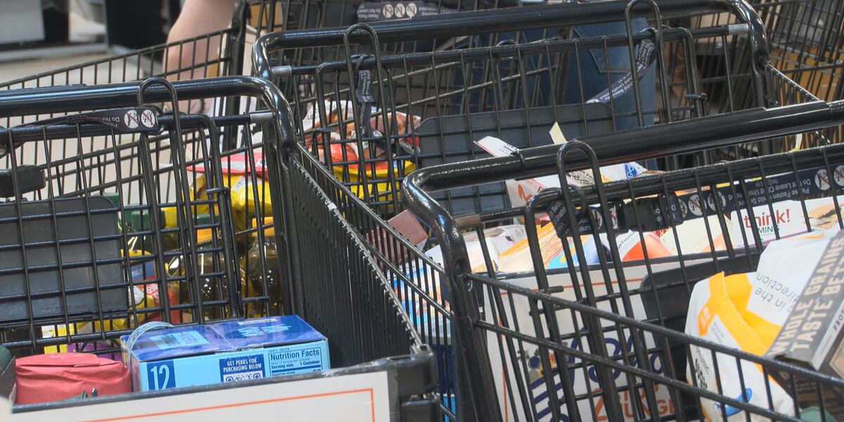 Hunger Store Shop to Stop Hunger event brings in food and donations while raising ...