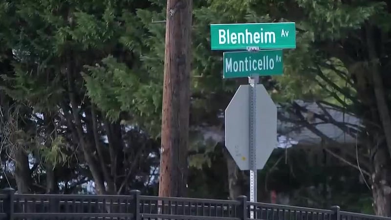 The man in pursuit crashed into two cars before jumping over a fence and taking off.