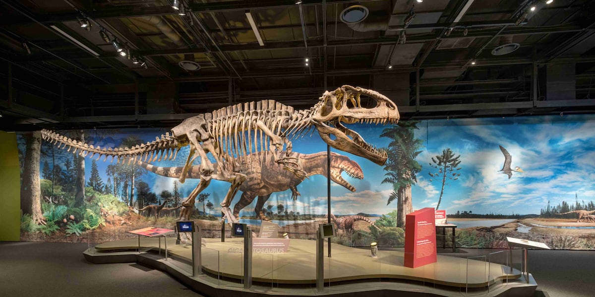 Science Museum of Virginia Unveils “Ultimate Dinosaurs” Exhibit This Summer