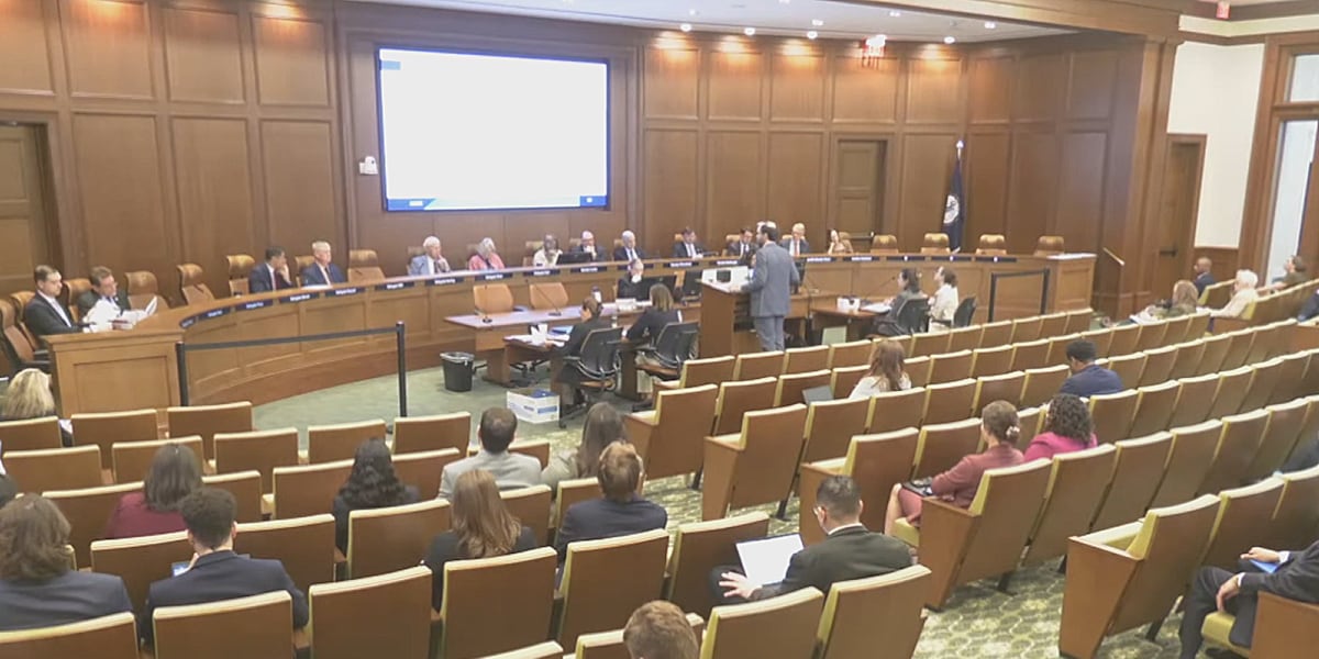 The Virginia Senate receives new research on artificial intelligence - WVIR