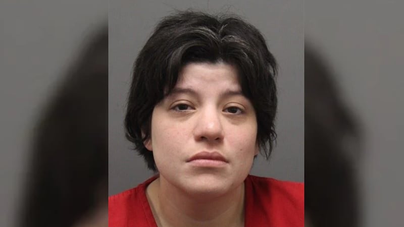 Rosellena Pisani was arrested Tuesday and charged with homicide, two counts of child abuse and...