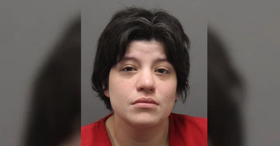Rosellena Pisani was arrested Tuesday and charged with homicide, two counts of child abuse and...