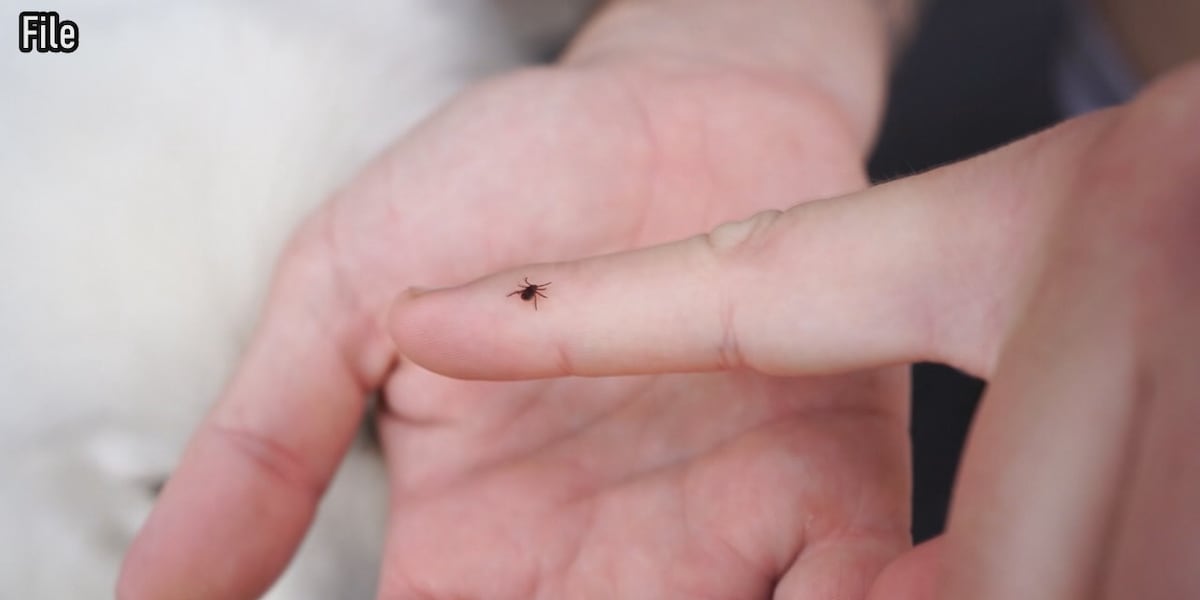 Tick-related emergency room visits surge across Virginia