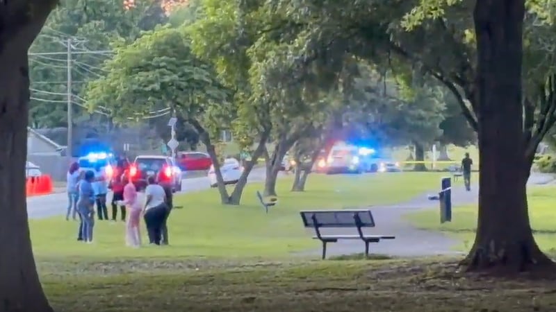 A large police presence is seen at a Brownsville City Park where a shooting occurred.