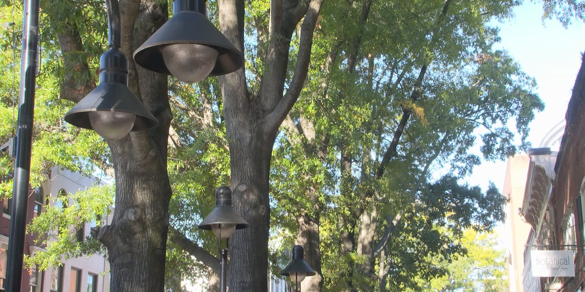 Charlottesville poet publishes collection inspired by Downtown Mall