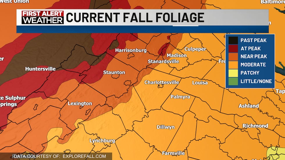 Current Fall Foliage