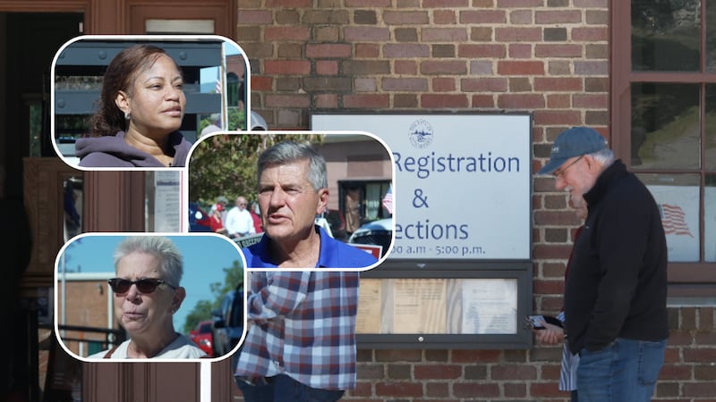 Voters in Virginia's 5th Congressional District laid out their concerns ahead of Election Day.