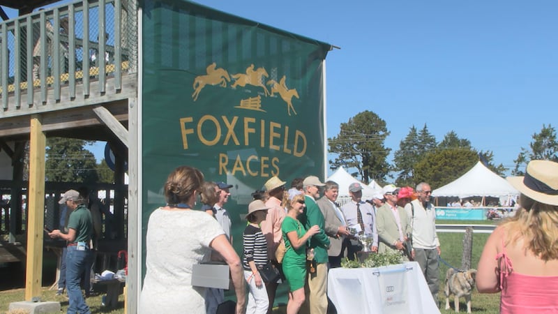 Foxfield Races Virginia Sports