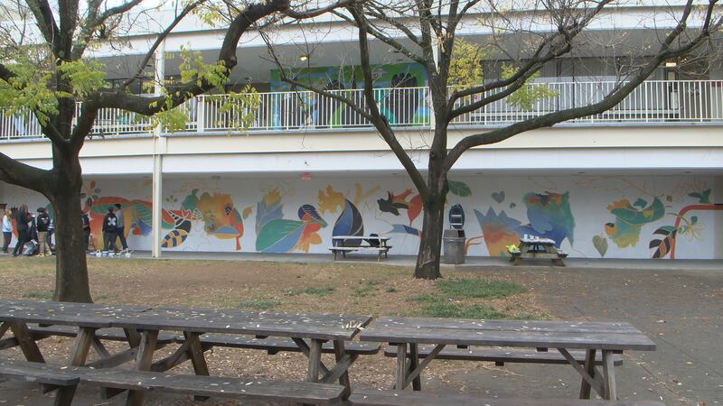 Charlottesville High School students are working on something new.