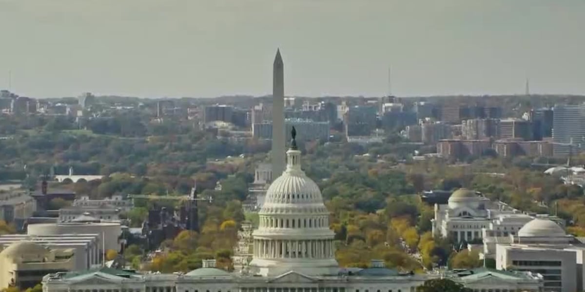 Economic slowdown expected to hit central Virginia amidst government shutdown, economists say