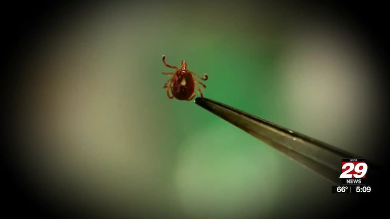 Ticks can carry diseases like Alpha-Gal syndrome or Lyme disease, and prevention can come in...
