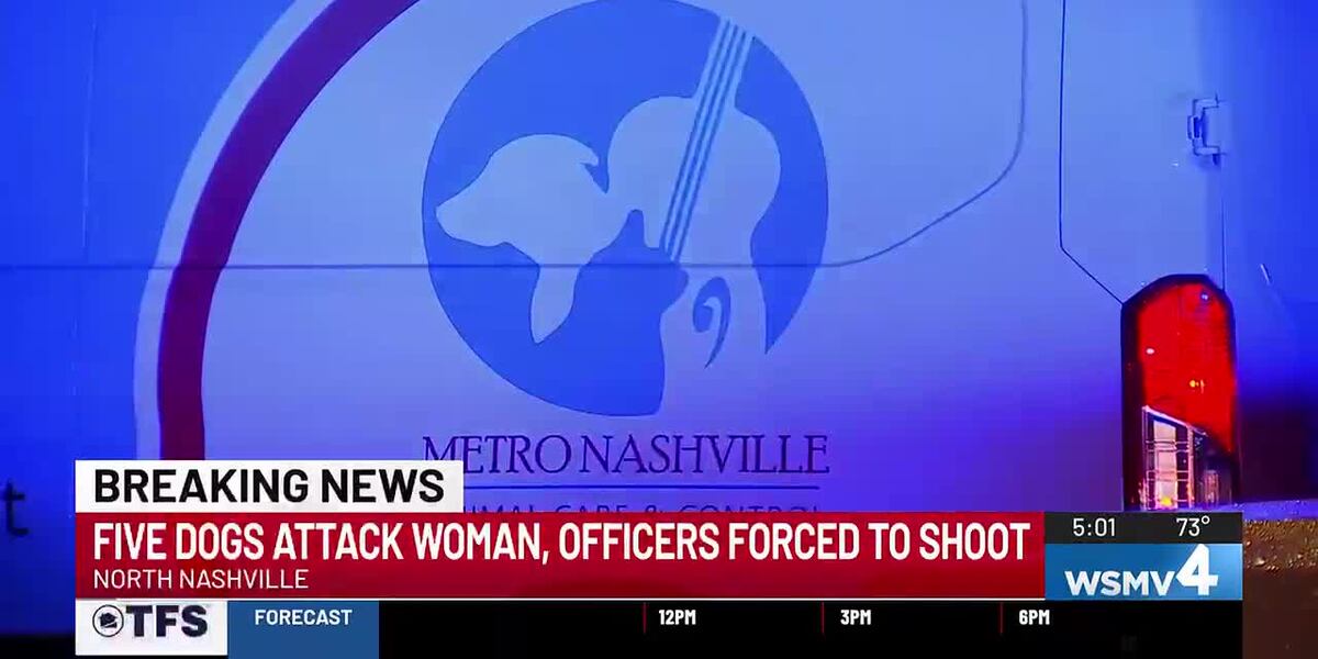 Woman attacked by dogs in East Nashville