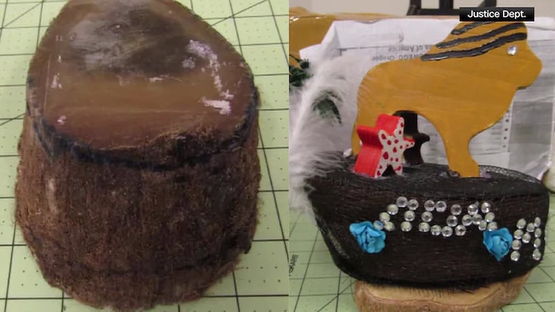 A couple pleaded guilty to trafficking protected wildlife items, including lion teeth, a tiger...